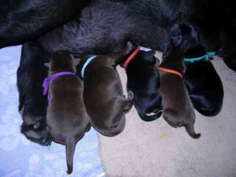 DSCN2229š – kopie – kopie – kopie