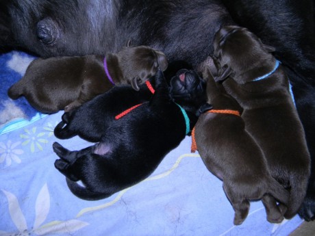 DSCN2304w – kopie – kopie – kopie