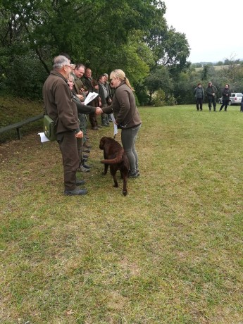 69784749_1351121005053892_6486195301873876992_n