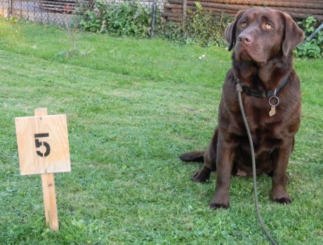 DSCN2816-1 – kopie