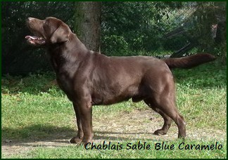 chablais-sable-blue-caramelo.jpg