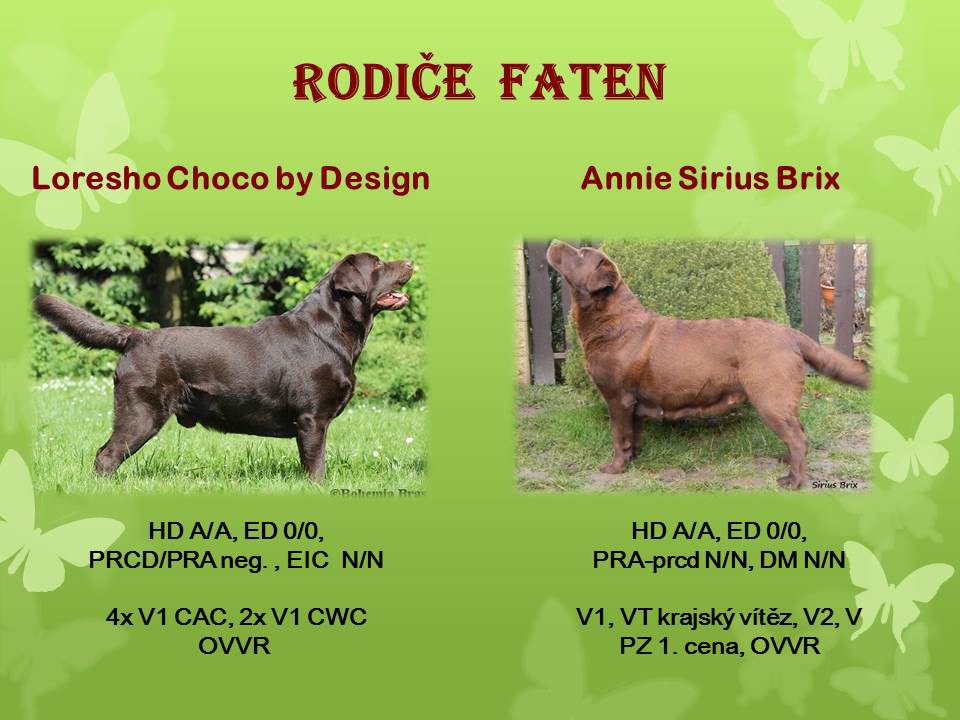 rodice-faten.jpg